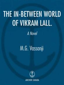 The In-Between World of Vikram Lall Read online