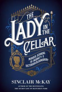 The Lady in the Cellar Read online