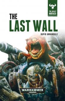 The Last Wall Read online