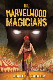 The Marvelwood Magicians Read online