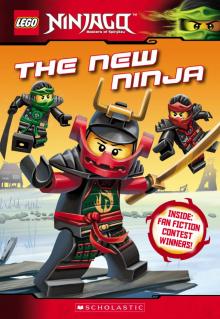 The New Ninja Read online