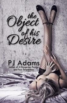 The Object of His Desire (erotic romance suspense) Read online
