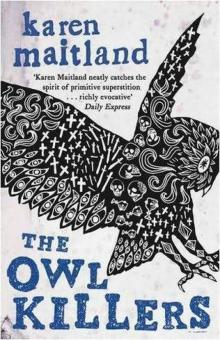 The Owl Killers Read online