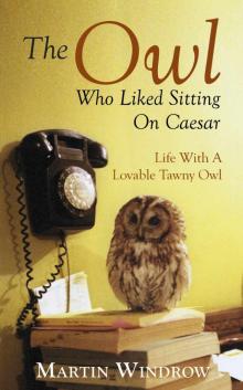 The Owl Who Liked Sitting on Caesar Read online