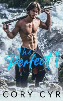 The Perfect 1 Read online