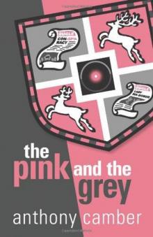 The Pink and the Grey