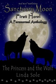 The Princess and the Wolf Read online
