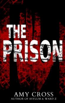 The Prison Read online