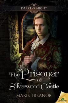 The Prisoner of Silverwood Castle Read online