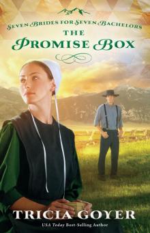 The Promise Box Read online