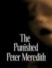 The Punished Read online