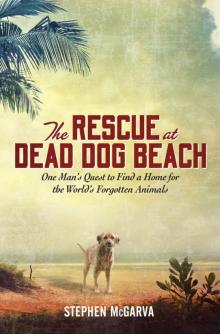 The Rescue at Dead Dog Beach Read online