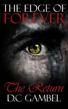 The Return (The Edge of Forever Book 3)