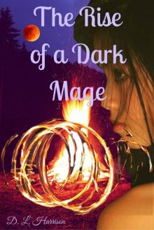 The Rise of a Dark Mage Read online