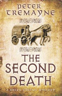 The Second Death (Sister Fidelma Mysteries) Read online