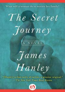 The Secret Journey Read online