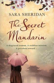 The Secret Mandarin Read online
