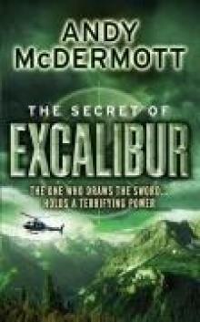 The Secret of Excalibur nwaec-3 Read online