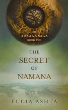 The Secret of Namana (The Arnaka Saga Book 2)