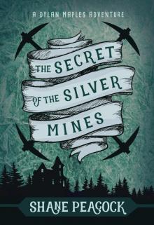 The Secret of the Silver Mines Read online