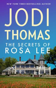 The Secrets of Rosa Lee Read online