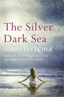 The Silver Dark Sea Read online