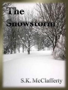 The Snowstorm Read online