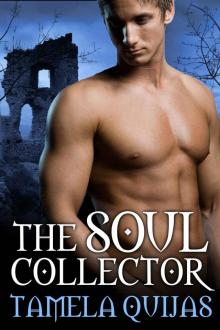 The Soul Collector (previously released as Angel's Fire, Demon's Blood) Read online