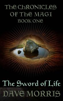 The Sword of Life (Chronicles of the Magi Book 1) Read online