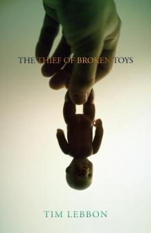 The Thief of Broken Toys Read online