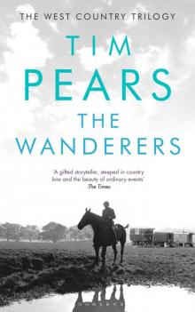 The Wanderers Read online