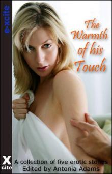 The Warmth of His Touch Read online