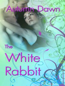 The White Rabbit Read online