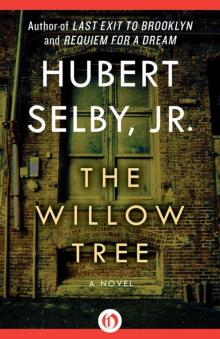 The Willow Tree: A Novel Read online