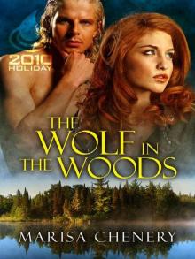 The Wolf in the Woods Read online