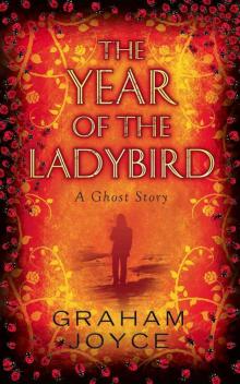 The Year of the Ladybird Read online