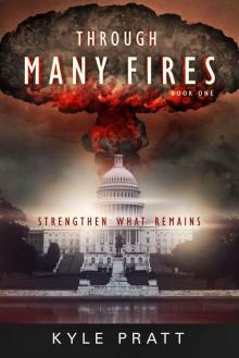 Through Many Fires (Strengthen What Remains) Read online