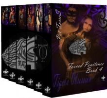 Tiger's Obsession Collection (Erotic Romance Complete Series - 6 books) Read online