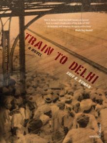 Train to Delhi Read online