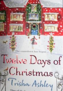 Twelve Days of Christmas Read online