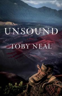 Unsound (A Lei Crime Companion Novel) Read online