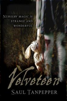 Velveteen Read online
