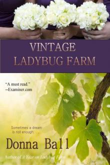 Vintage Ladybug Farm Read online