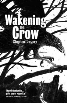 Wakening the Crow Read online