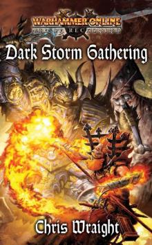 WH-Warhammer Online-Age of Reckoning 02(R)-Dark Storm Gathering Read online
