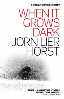 When It Grows Dark (William Wisting series) Read online