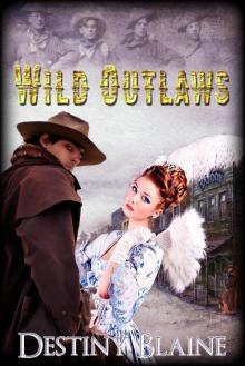 Wild Outlaws Read online