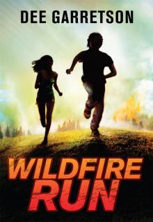 Wildfire Run Read online