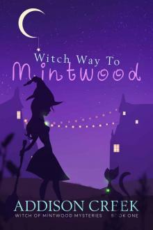 Witch Way to Mintwood (Witch of Mintwood Book 1) Read online