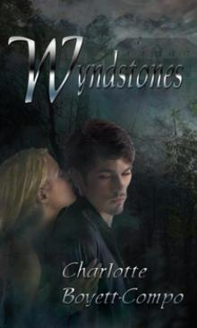 WyndStones Read online